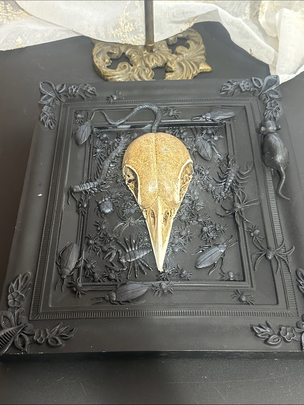 Spooky night gothic curiosity wall art features a central bird skull with bugs